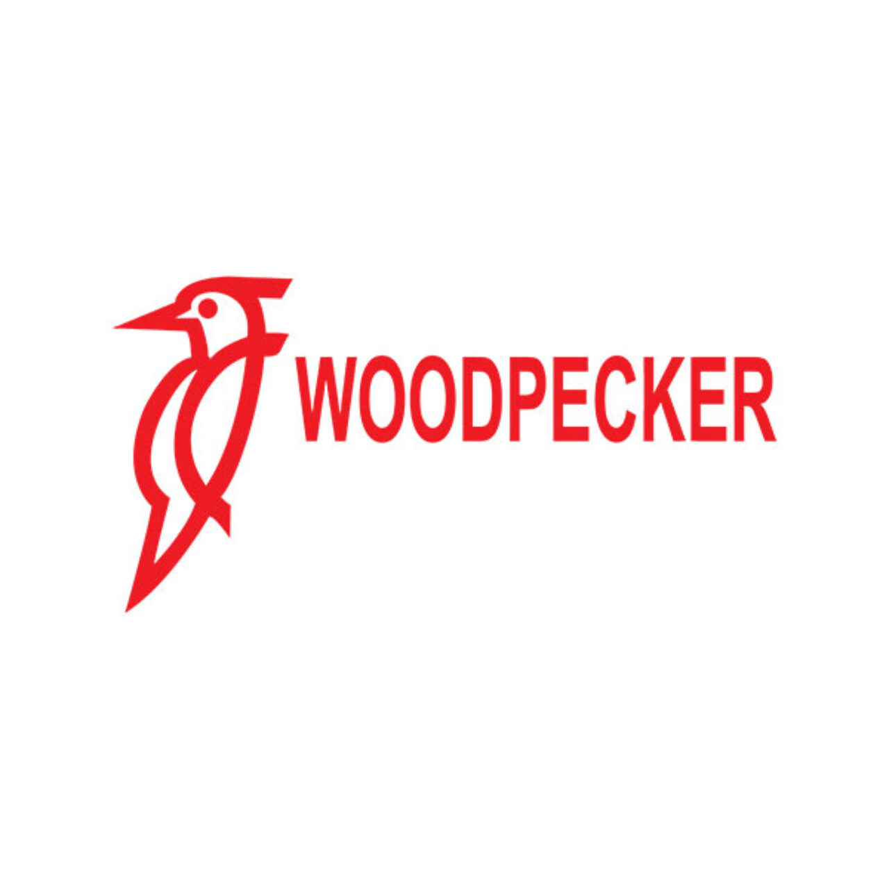 woodpecker